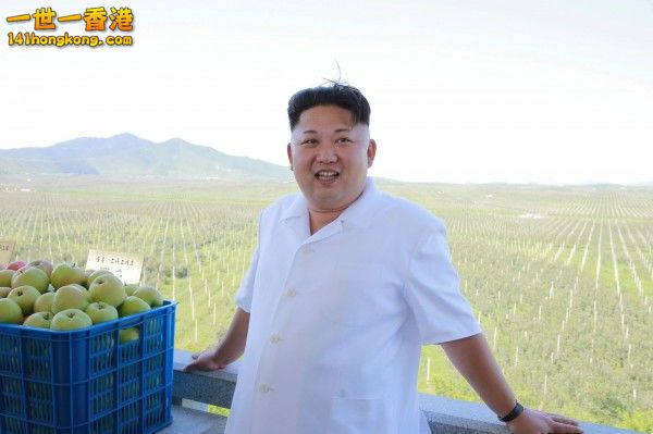 5001352.jpg