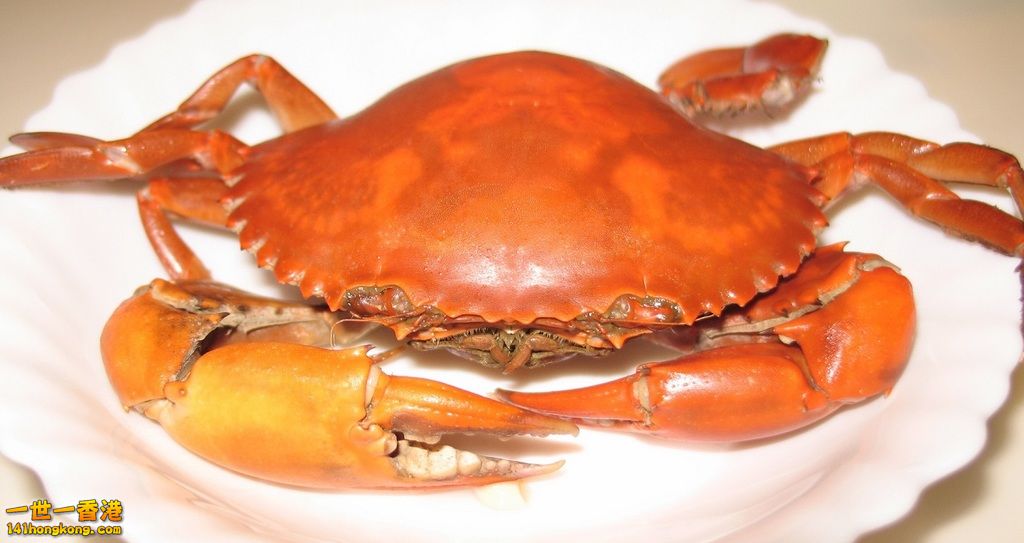 yellowcrab.jpg