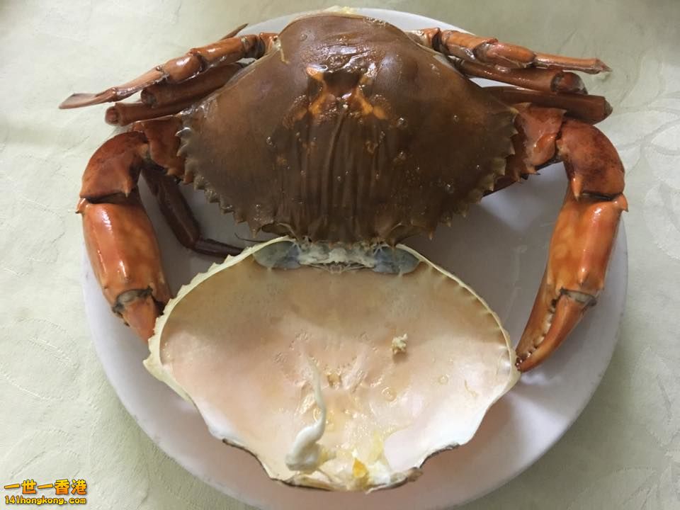 重皮蟹.jpg
