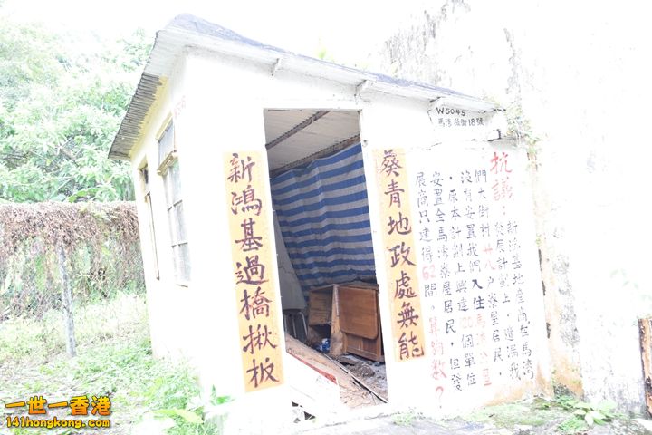071.JPG