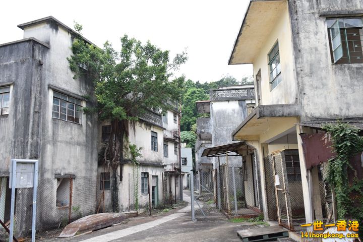 072.JPG