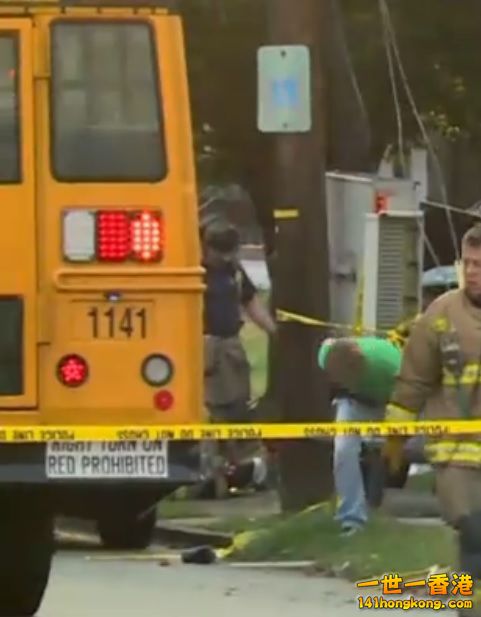 School Bus 1141.jpg