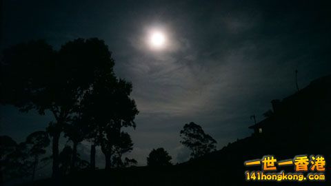 DSC01237.jpg