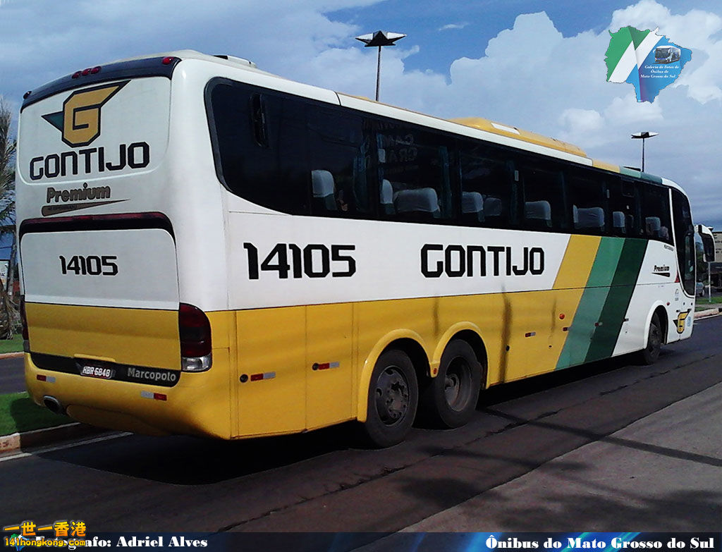 GBMS_02467_Gontijo_14105.jpg