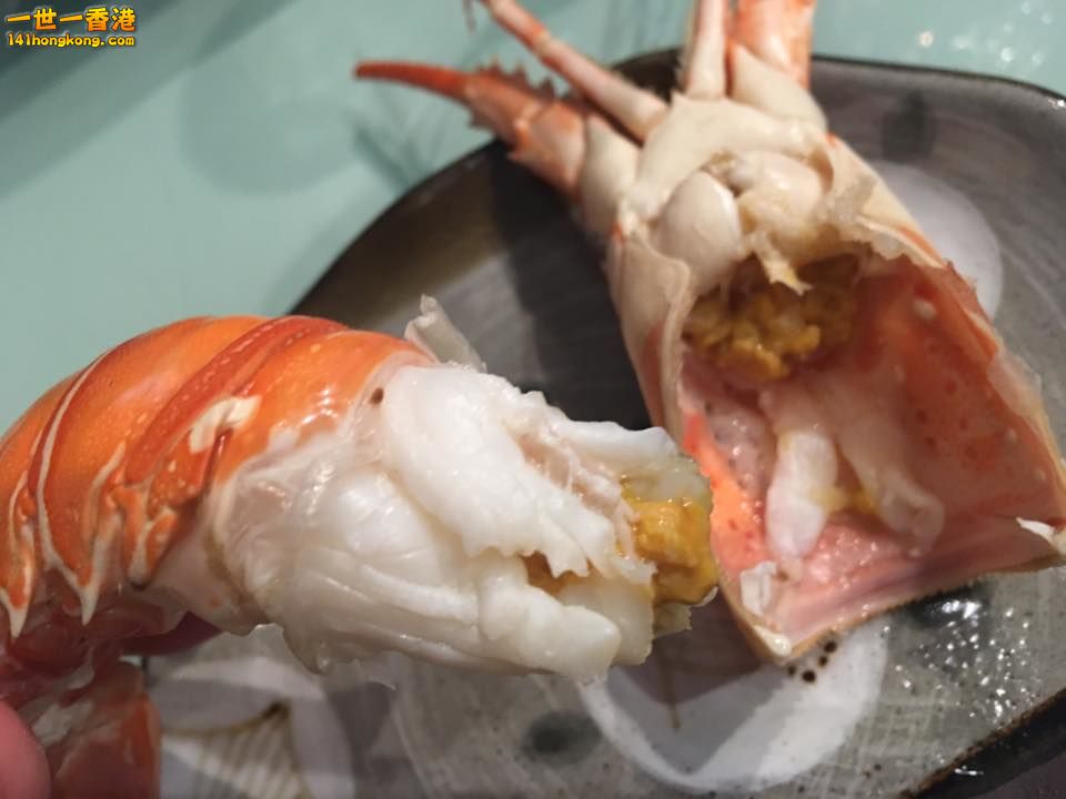 食龍蝦0.jpg