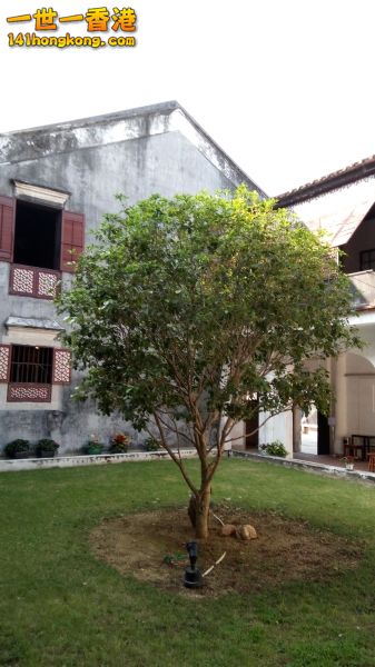 Optimized-Image 3.jpg