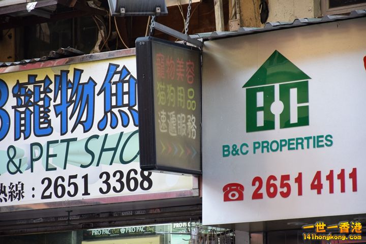 相片1485.JPG