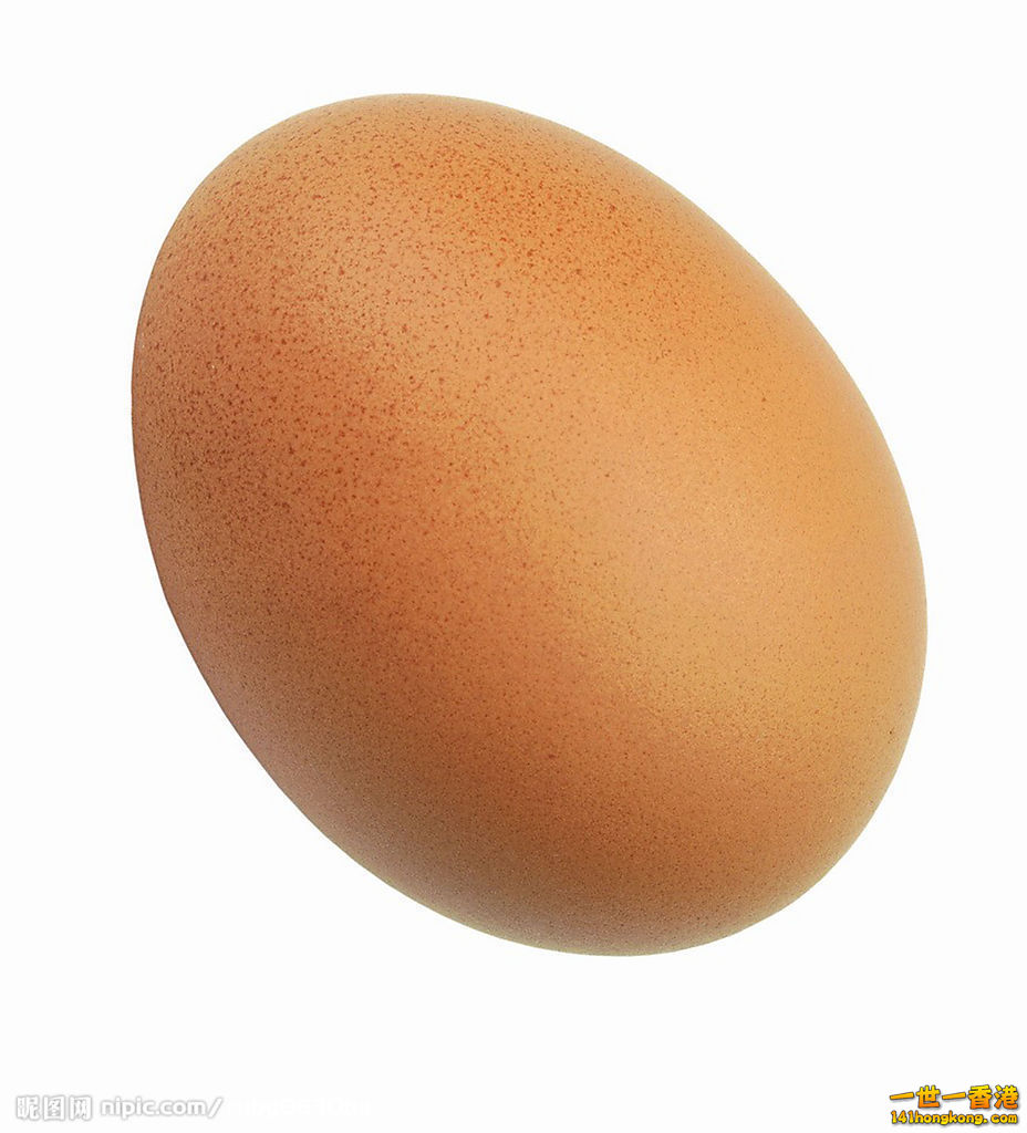egg.jpg
