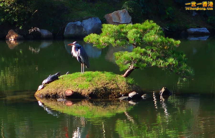 IMG_7253.JPG