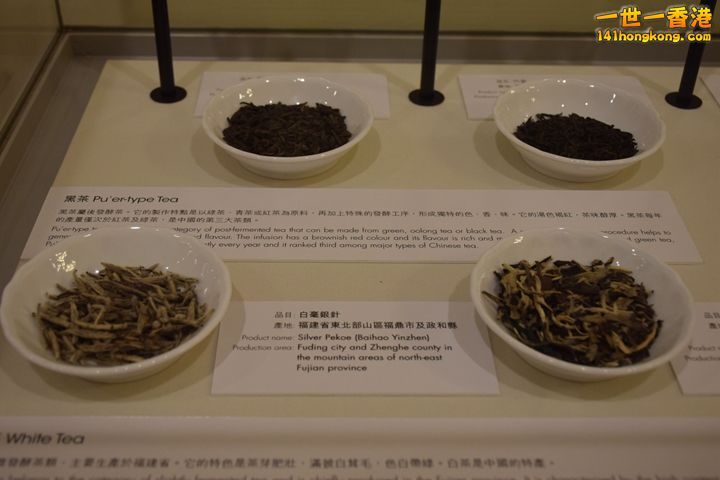 116.JPG