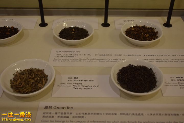 117.JPG