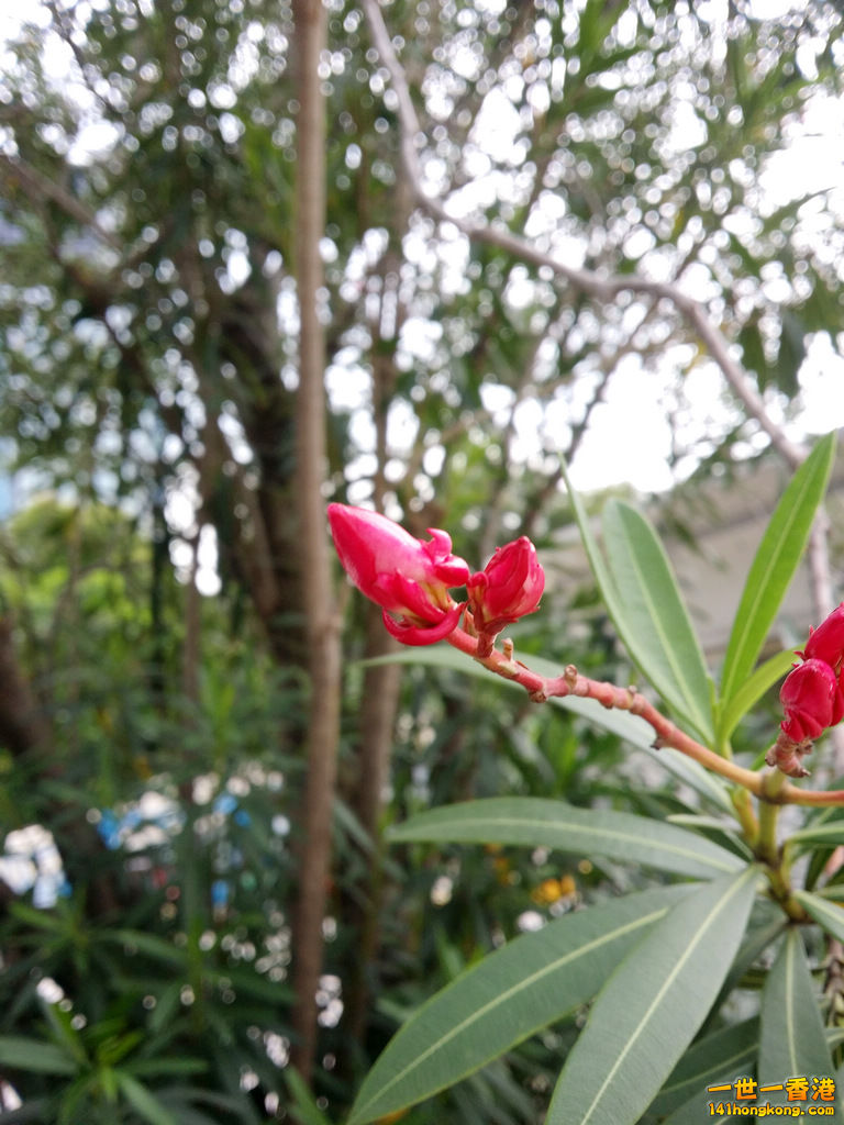 20160830_133458.jpg