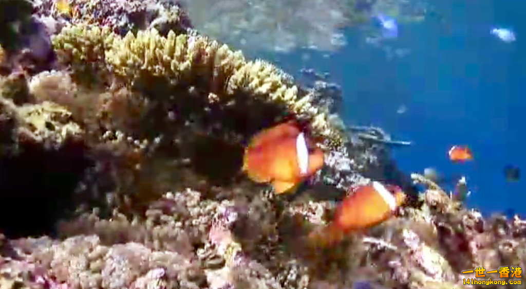 FullSizeRender (2).jpg