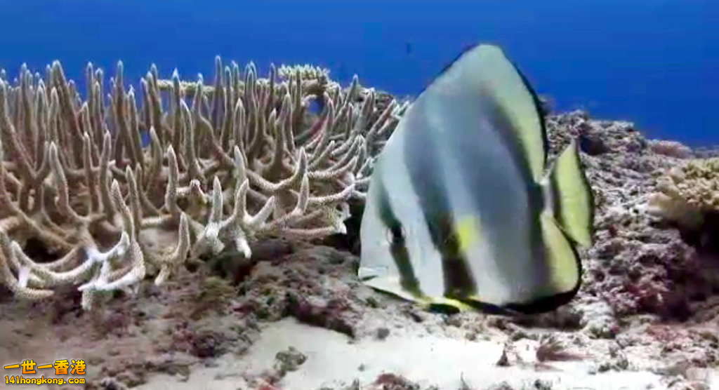 FullSizeRender (3).jpg