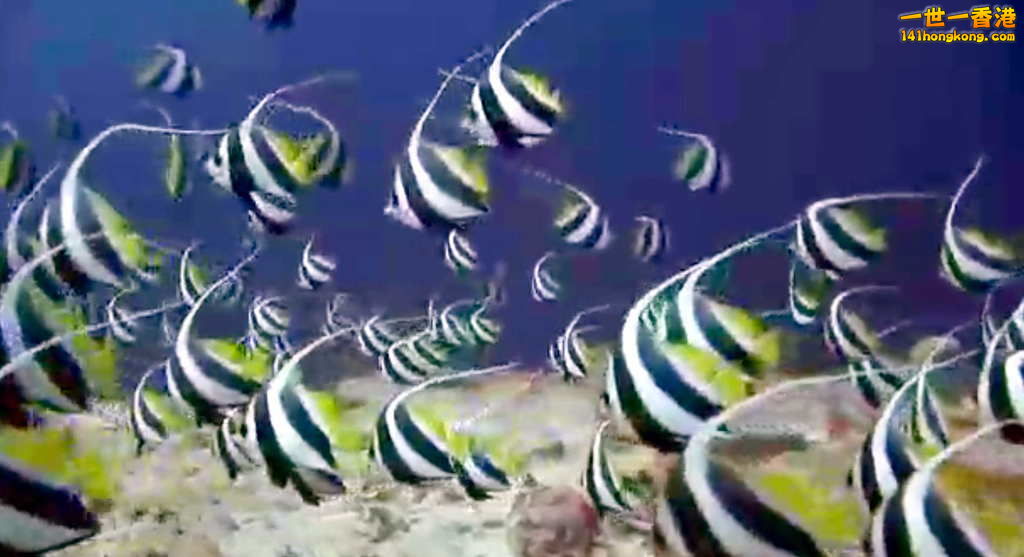 FullSizeRender (4).jpg