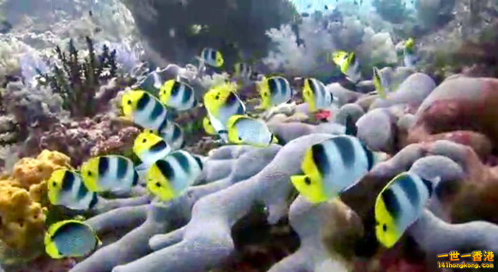 FullSizeRender (5).jpg