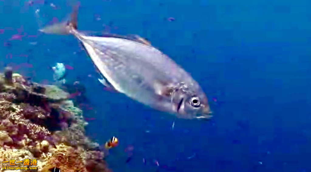 FullSizeRender (6).jpg