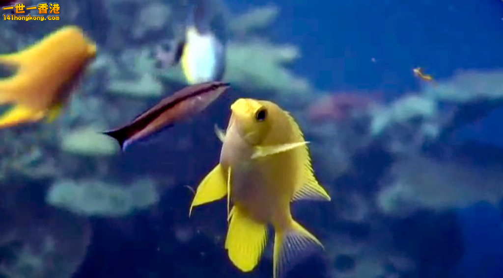 FullSizeRender (7).jpg