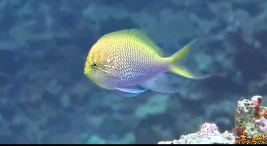 FullSizeRender (8).jpg