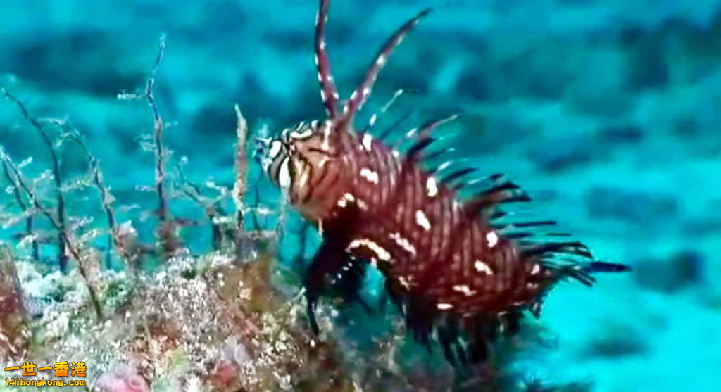 FullSizeRender (9).jpg