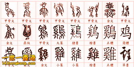 全部都係雞.jpg