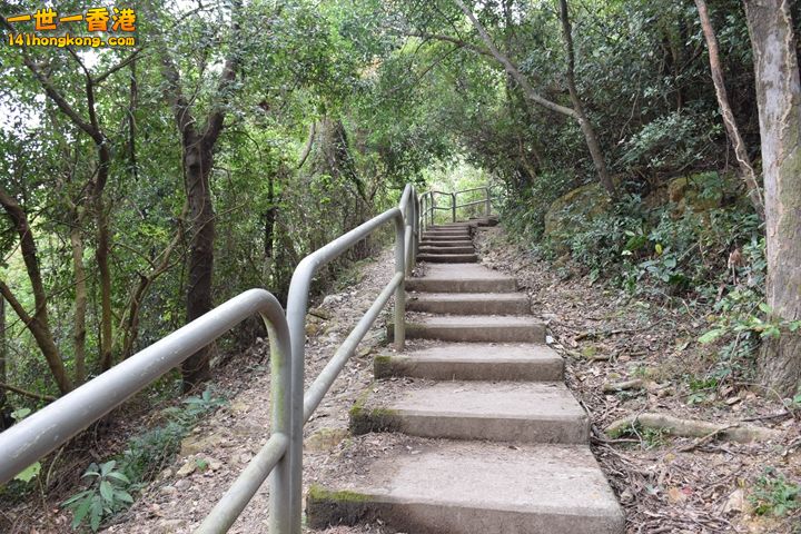 114.JPG