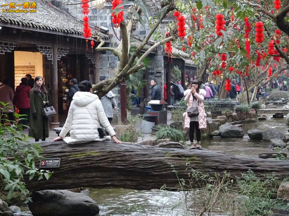 15.jpg