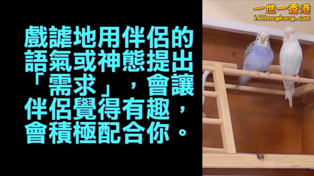 IMG_7607.PNG