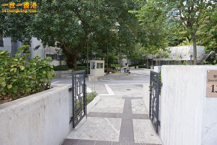 163.JPG