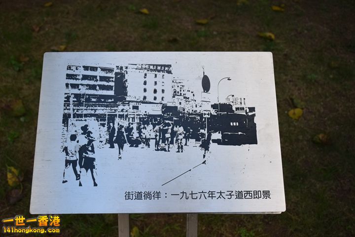 165.JPG