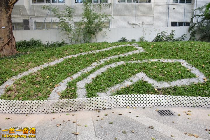 166.JPG