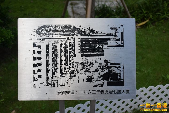 169.JPG