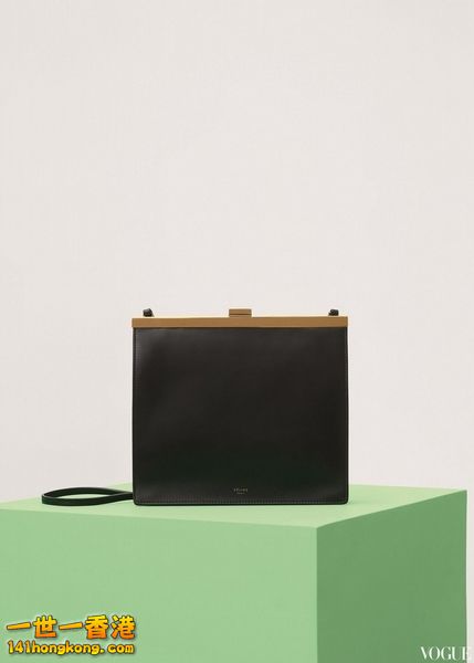 CELINE11.jpg