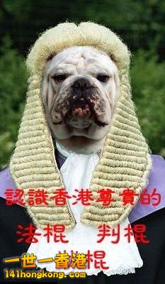 09-03-07-20170209_3348f1ce3402c0a11edefRxQvSs4bLF5.jpg