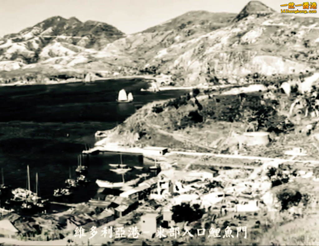 FullSizeRender (1).jpg