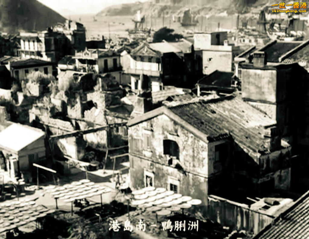 FullSizeRender (20).jpg