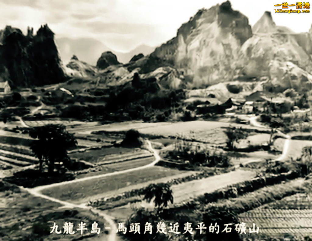 FullSizeRender (25).jpg