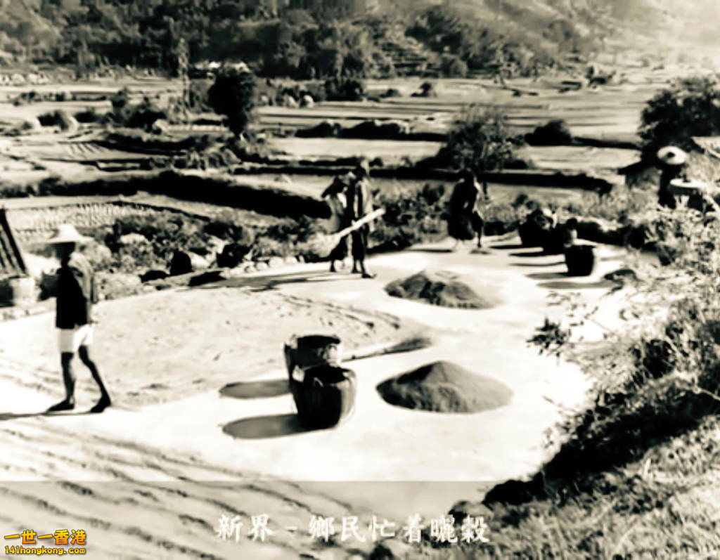 FullSizeRender (29).jpg