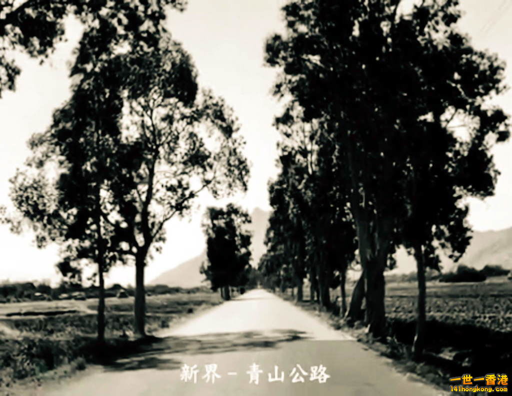 FullSizeRender (30).jpg