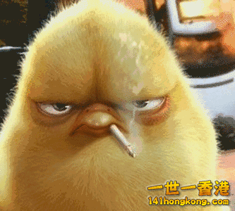 1.gif