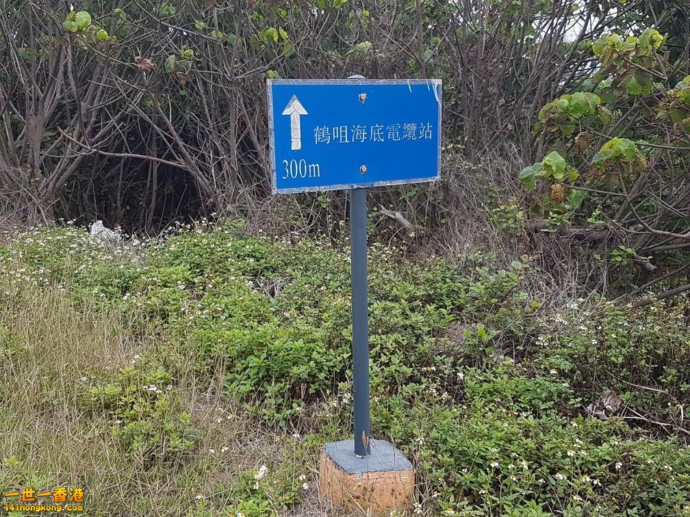 e.jpg
