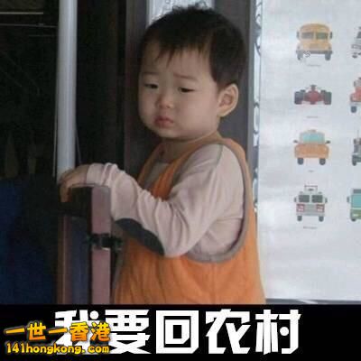 2e4c00003121a61fac7f.jpg