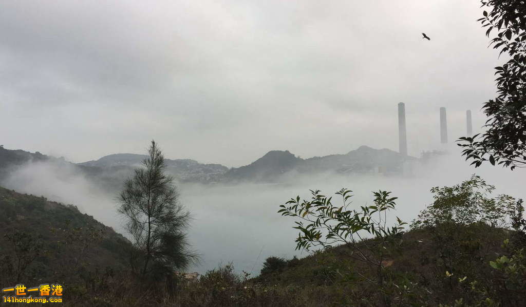 霧迷香江3.jpg