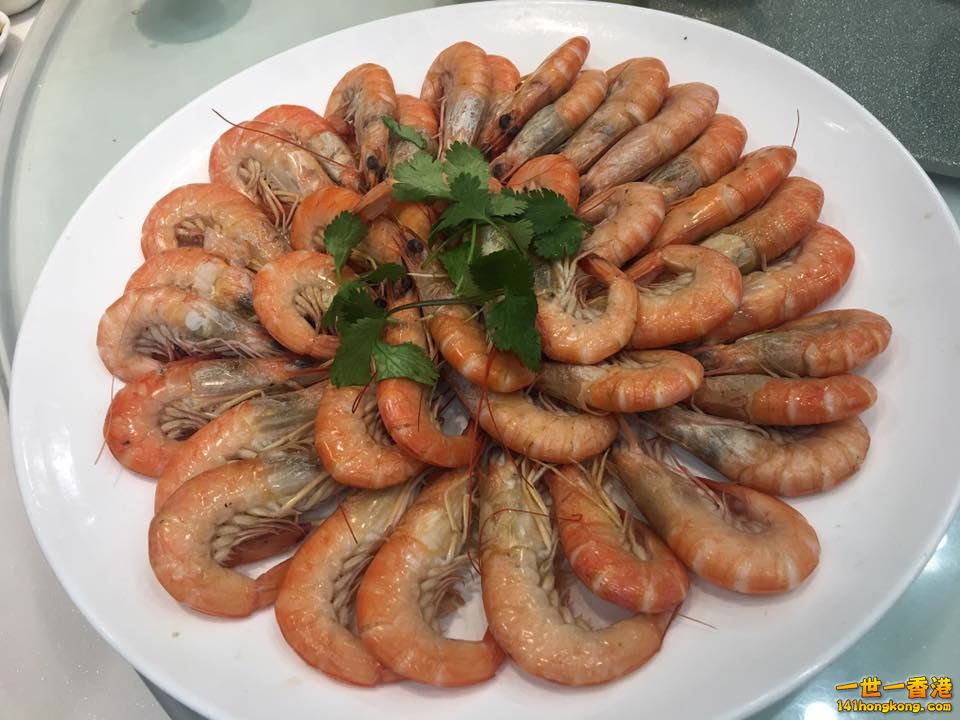 蝦.jpg