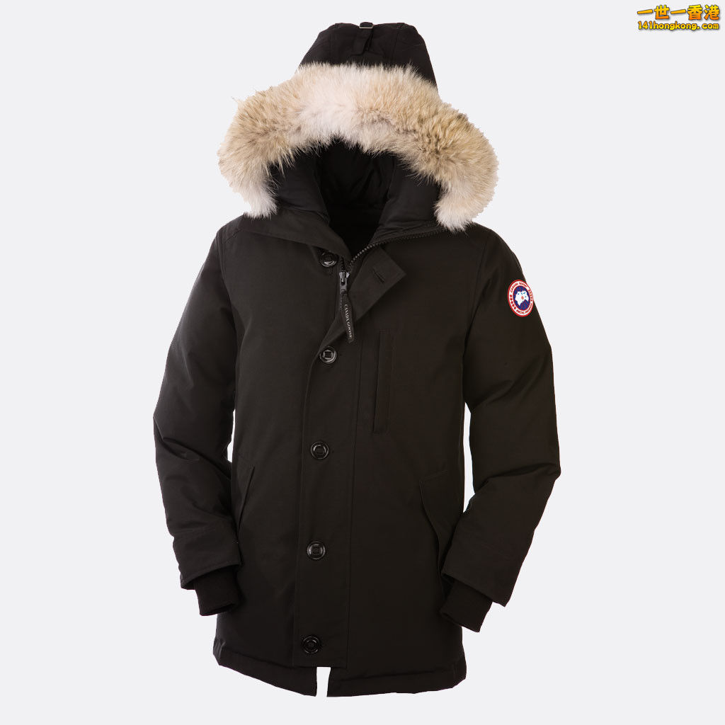 Canada goose .jpeg