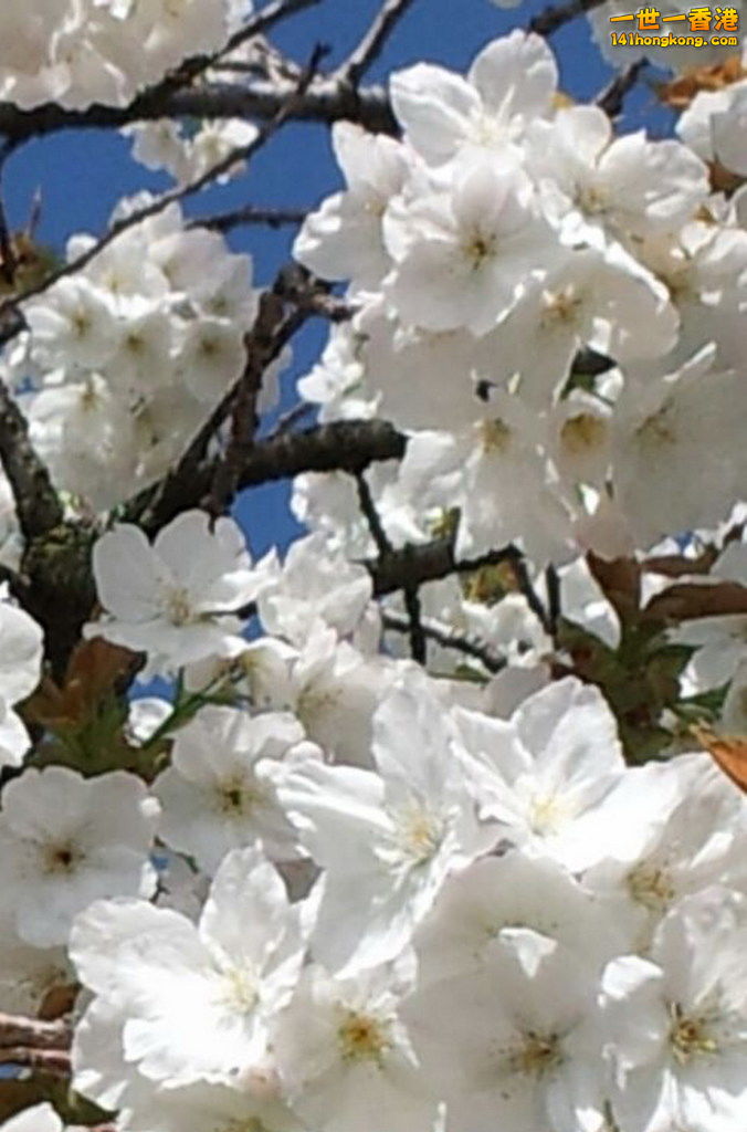 2017-04-22-PHOTO-00003304 (1).jpg