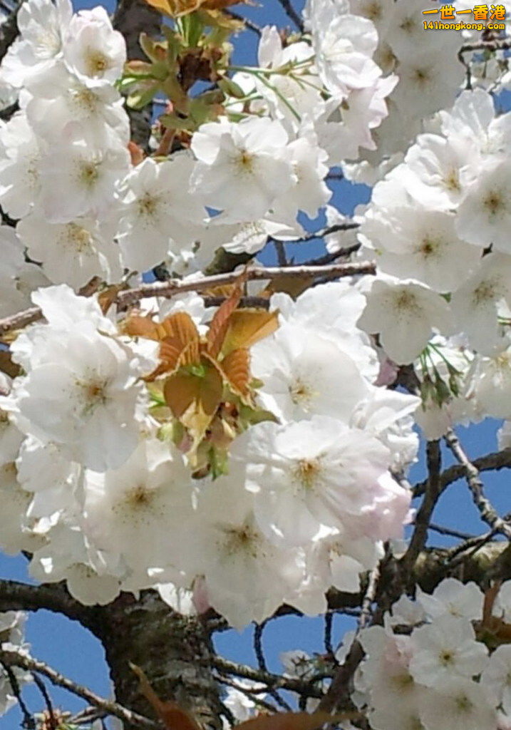 2017-04-22-PHOTO-00003304 (2).jpg