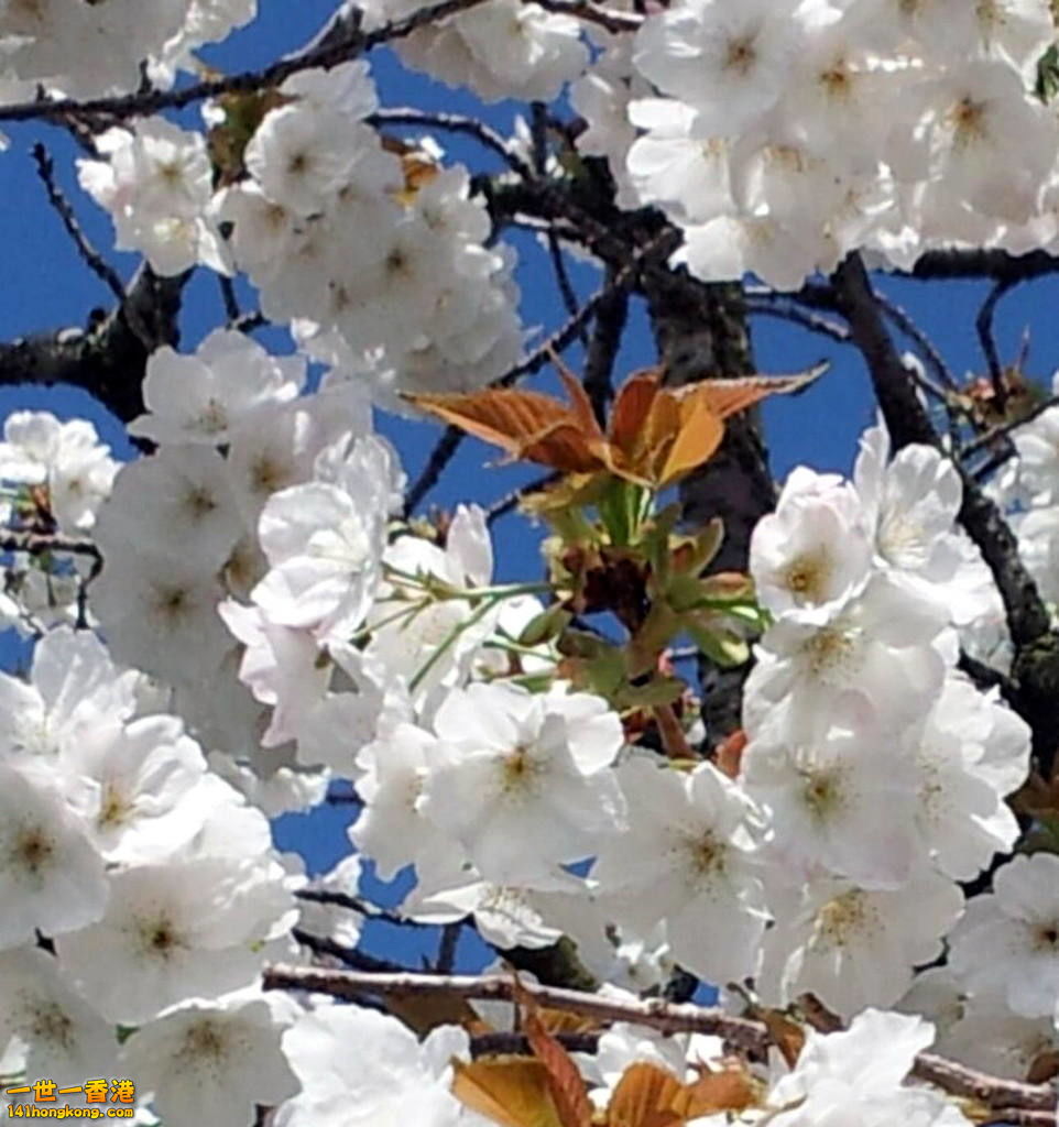 2017-04-22-PHOTO-00003304 (3).jpg