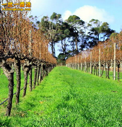huntervalley2_600px.jpg