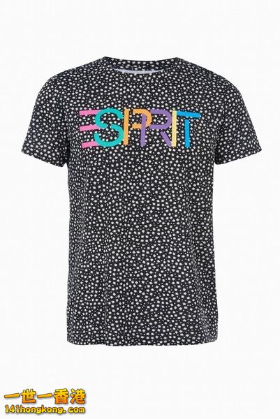 ESPRIT11.jpg